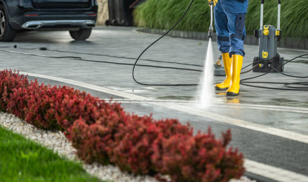 Best Animal Enclosure Cleaning  in Poth, TX
