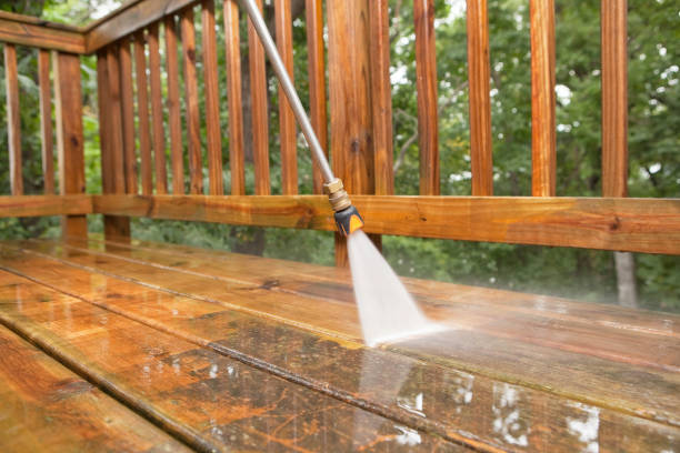 Animal Enclosure Cleaning in Poth, TX